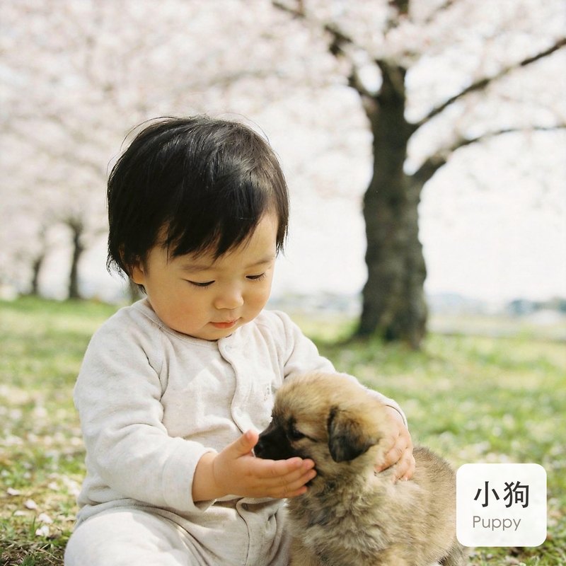 认知绘本样片 · 认动物（小狗）
